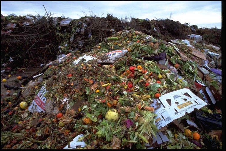 food waste piled up