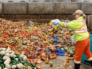 Commercial food waste