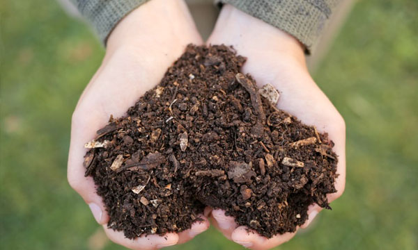 hands holding compost in the shape of a heart